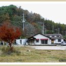 골드리버캐슬 이미지