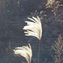 상계교 화장실 이미지