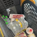 클럽멤피스글램핑 | 충주호가 보이는 글램핑 클럽 멤피스 솔직후기 😎✨