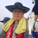 신나래 이미지