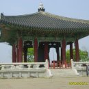 평화보리밥 이미지