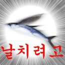 토렌스