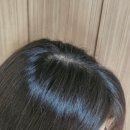 청정유통 | 려 루트젠 두피청정 샴푸 후기, 여름샴푸추천, 쿨링샴푸, 쿨링샴푸 추천, 두피열 내리기, 진정 샴푸...