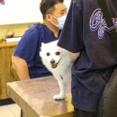 메디펫동물병원 이미지