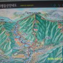 어비숲민박 이미지