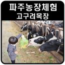 농장고구려 이미지