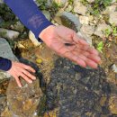 서포항농협하나로마트기북 이미지