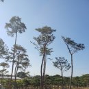 영민 농장 이미지