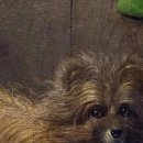 명화 속 인문학 여행 이미지