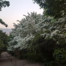 새평화약국 이미지