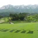 대명골프클럽 이미지