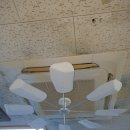 비타민당구클럽 이미지