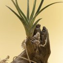 (주)미스터케어 이미지