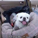 호명타이어