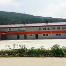 정선취떡 이미지