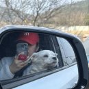 푸른길약국 이미지