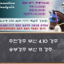 ♣ 11월 10일 금요일 추천마번 이미지