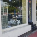 개 키우는 언니 이미지