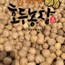 윤이 농장 이미지