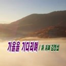 가을을 기다리며 / 詩 淸湖 김정섭, 나뭇잎 끝자락 따가운 햇살은... 이미지