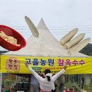 영암 옥수수 맛집 고을농원 자리 바뀜 장작불 가마솥 찰옥수수 후기