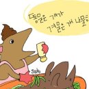 스톤스토리