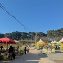 꽃동산분식 | 충남 서산 유기방가옥 수선화 축제 서울 근교 꽃구경 4월 가볼만한곳