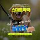 신목약국 이미지