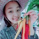 NAVER Farm 와인 말고 채소 소믈리에, 들어보셨나요? 이미지