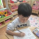 드로잉 미술(과일쟁반그리기)🎨 이미지