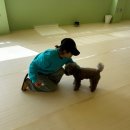 멍린이 대공원 이미지