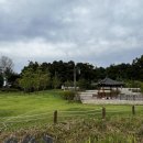 세영아쉬탕가요가 이미지