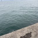 남해아라힐펜션 이미지