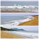 경북 포항의 포항운하 / 환호공원 스페이스워크 / 영일대 장미원 (&#39;25.5.10~11) 이미지