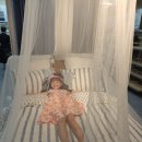 유리네 민박 이미지