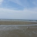 해오름관광농원 이미지