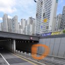 기동반-13 | 차도에있던 위험한 아기고양이 신고후기 (송파구 동물구조신고후기)