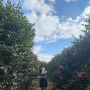 더 스테이 챕터 이미지