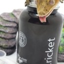 농업회사법인 다벅스 이미지