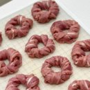 댕댕보스 이미지