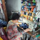 유림세탁 이미지