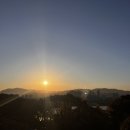 단지이것 이미지