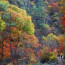 별그대 민박 이미지