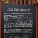 성철(性徹) 스님이 10년 동안 동구불출(洞口不出)과 장좌불와(長坐不臥)를 하셨던 팔공산 파계사(八公山 把溪寺) 성전암(聖殿庵) 이미지