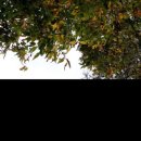 주막거리캠프 이미지