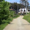 시골책방자몽 이미지