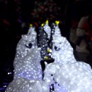 아름다운 동행 이미지