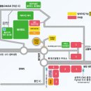 【용인】 에버랜드 주말 스마트줄서기 꿀팁 + 사파리와 로스트밸리 현장웨이팅 시간
