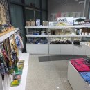 남도전통미술관 | 진도 여행 가볼만한곳 운림산방 입장권 주차 정보 (+남도 전통 미술관)