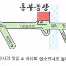 안동용상초등학교 이미지